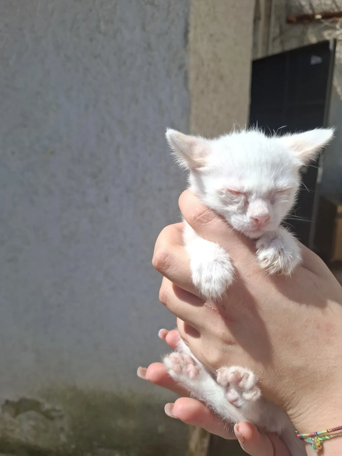 Ricotta e Baileys 🧡🤍 - foto 3