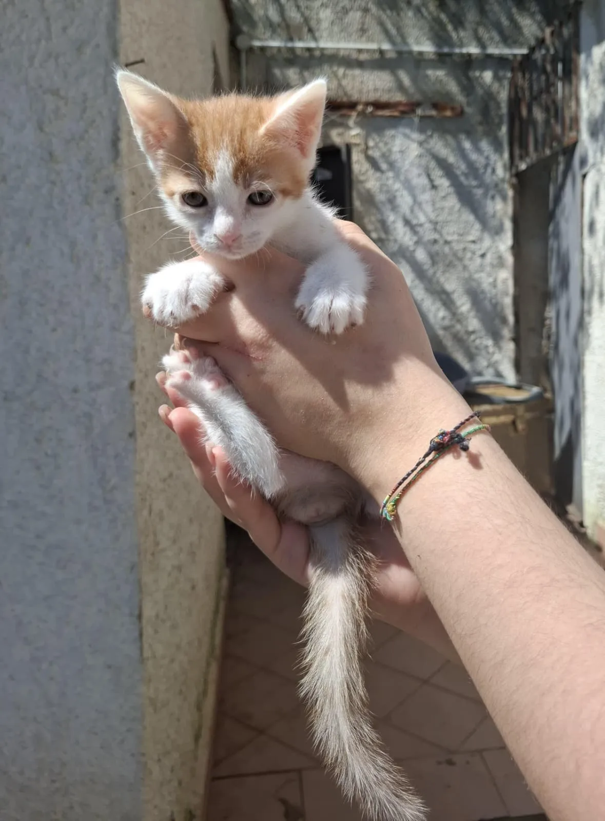 Crocchè 🧡 - foto 2