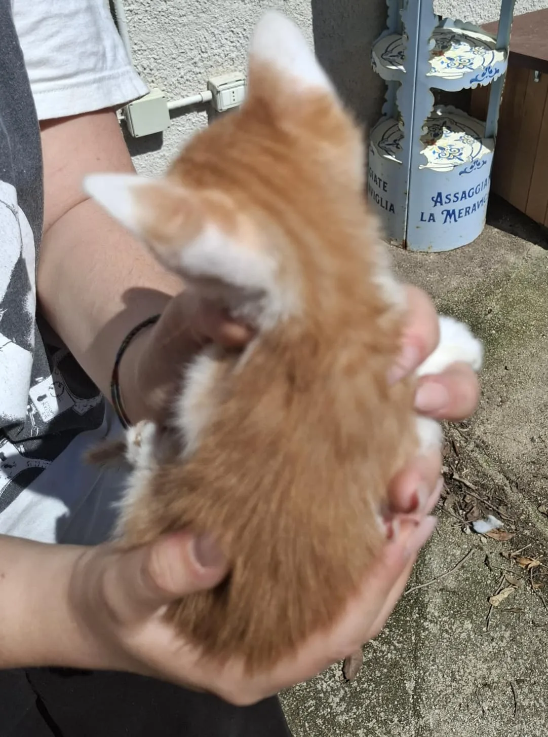 Crocchè 🧡 - foto 3