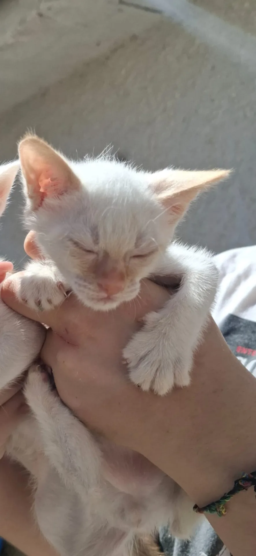 Bignè 🤍 - foto 2