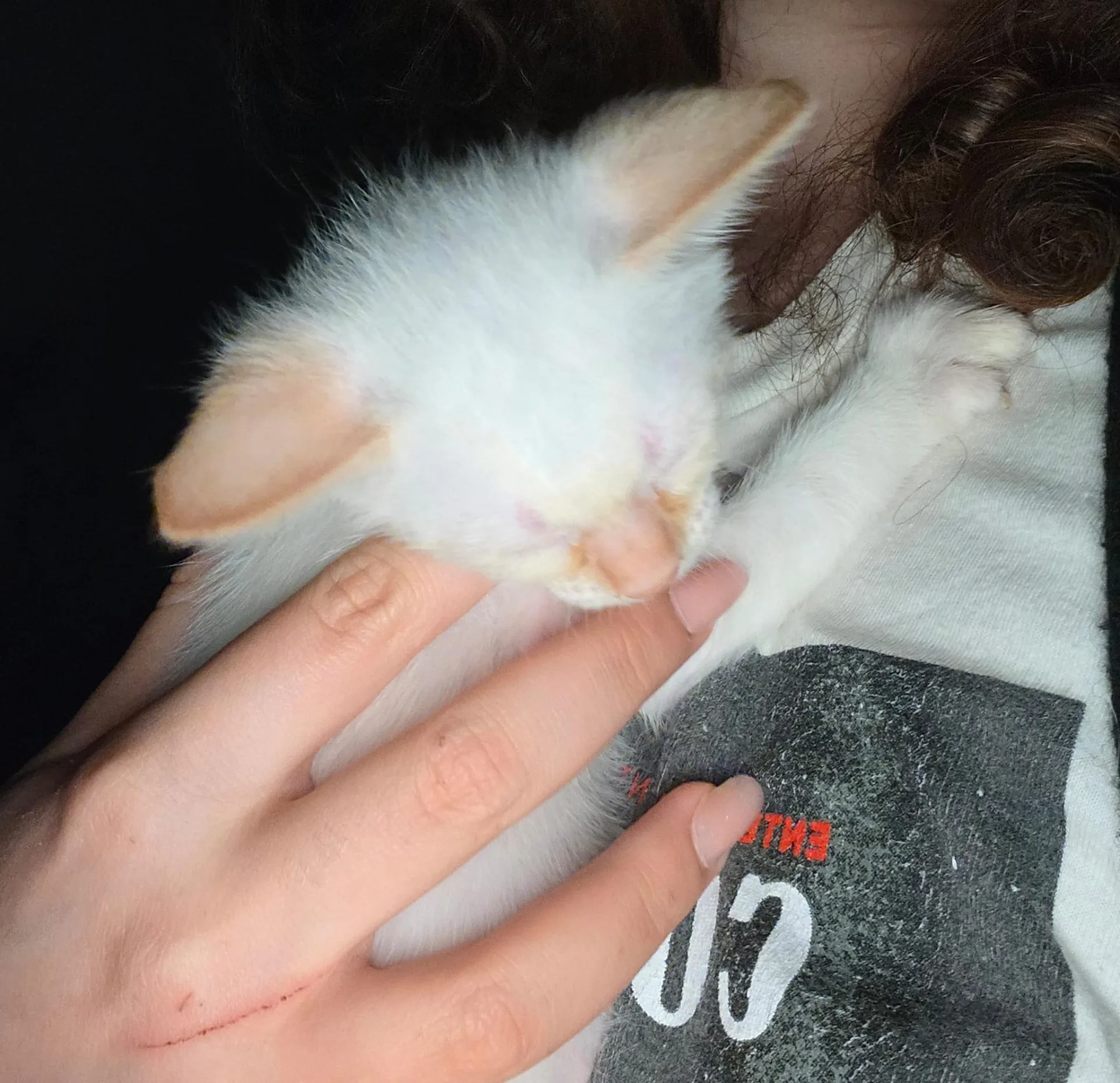 Bignè 🤍 - foto 3