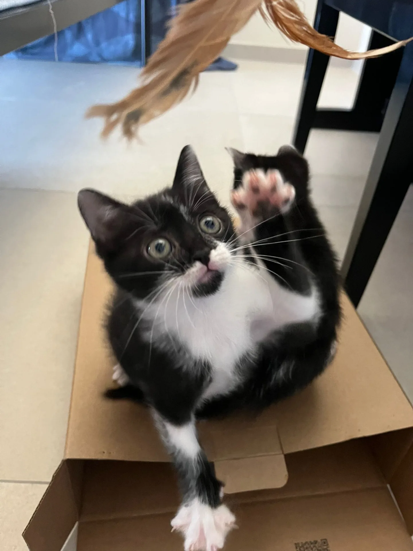 Luce e Pollicina 💖 - foto 2