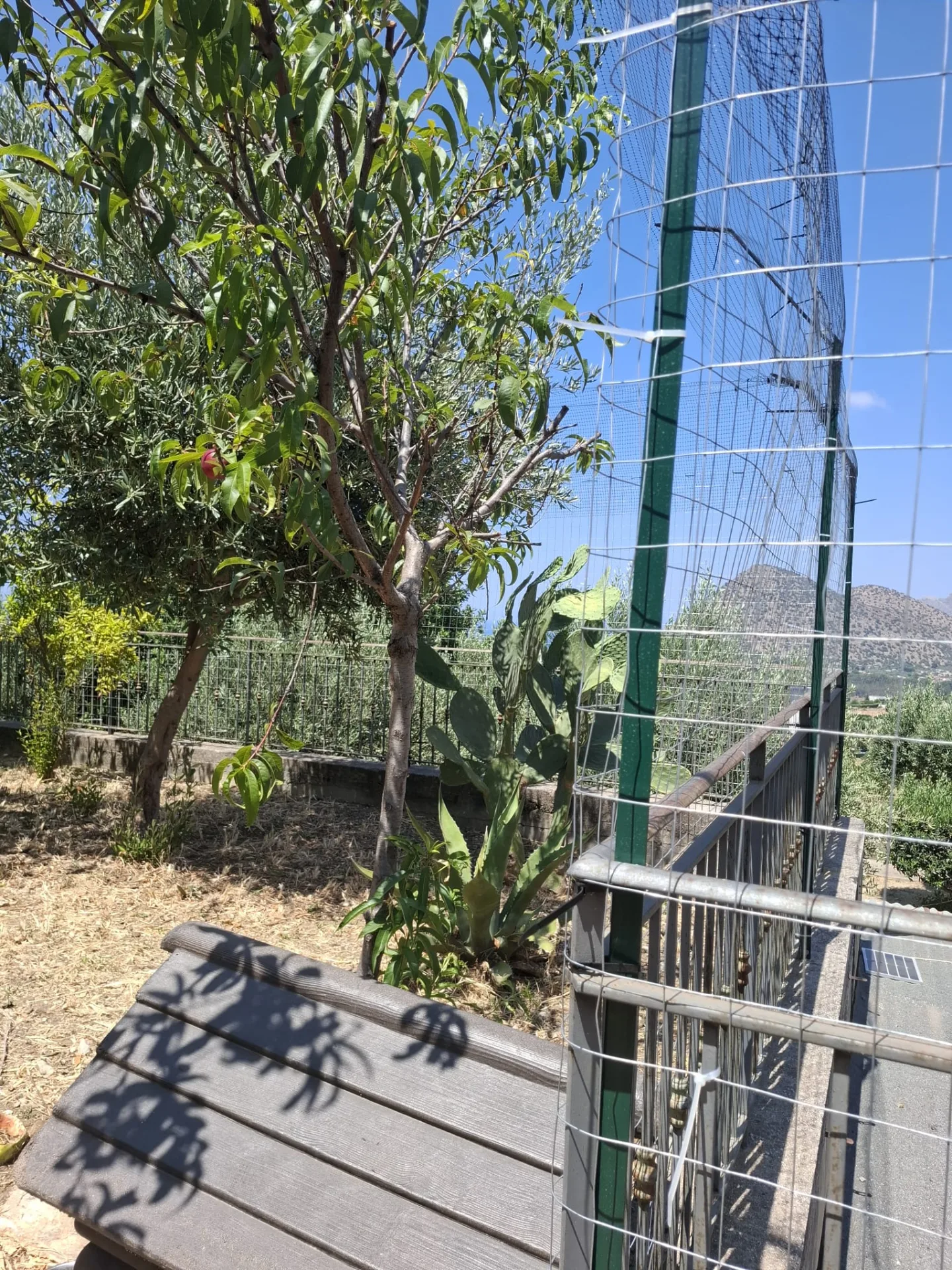 Oasi della Colonia 🐈❤️ - foto 2