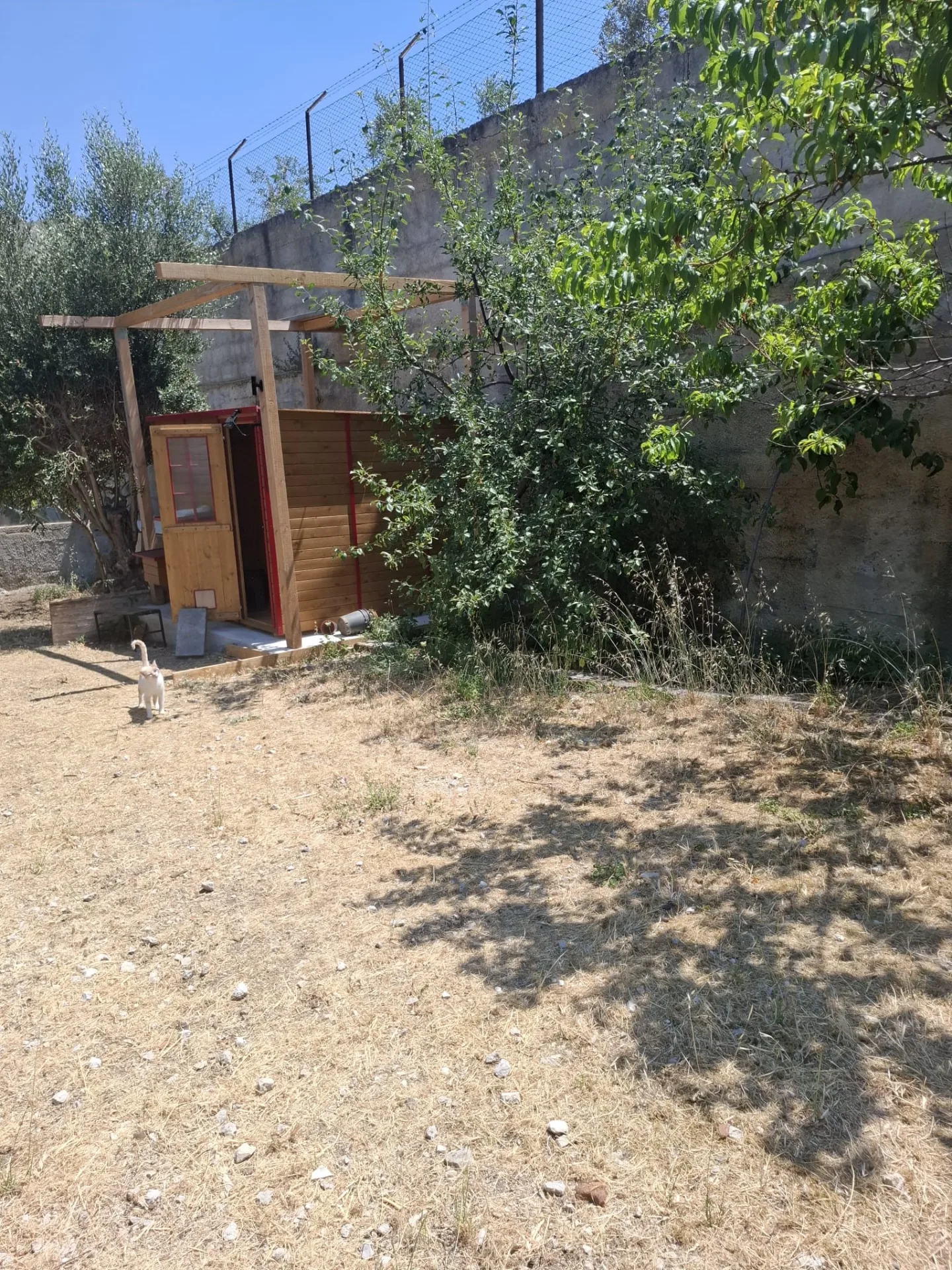 Oasi della Colonia 🐈❤️ - foto 7