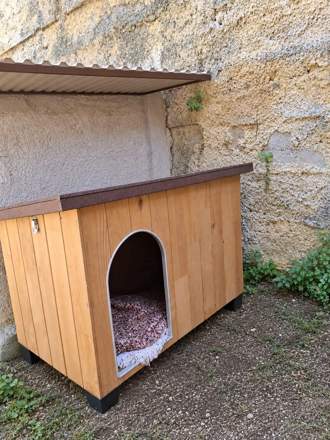 Oasi della Colonia 🐈❤️ - foto 10